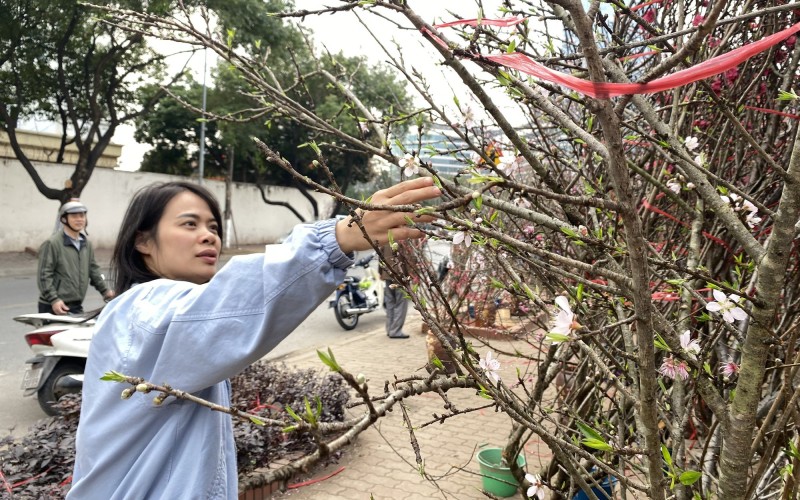 Dự báo chi tiết thời tiết cả nước dịp Tết Nguyên đán Bính Ngọ 2026