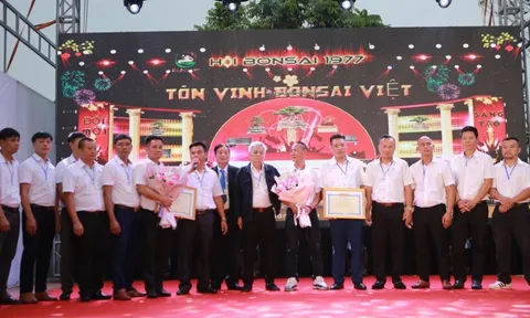 Ra mắt Hội Bonsai 1977: Hội tụ 500 nghệ nhân, chủ nhà vườn toàn quốc tại sân chơi cây cảnh nghệ thuật, bể đá cố triệu đô