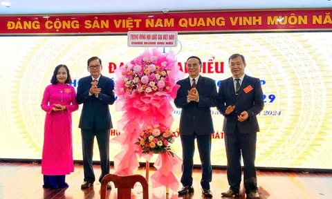 Hội Luật gia tỉnh Đồng Tháp: Phát huy tinh thần đoàn kết, chủ động sáng tạo, hướng về cơ sở