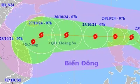 Vì sao đặt tên là bão Trami, tên tiếng Việt là bão Trà Mi?