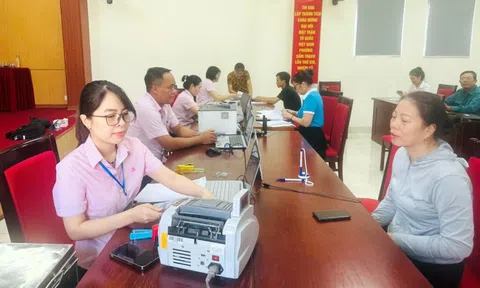 Quảng Ninh: Giảm lãi suất cho hơn 68.000 khách hàng vay vốn bị ảnh hưởng bởi bão Yagi