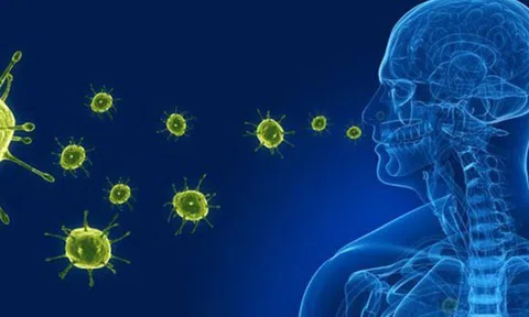 Bộ Y tế thông tin virus gây viêm phổi trên người tại Trung Quốc