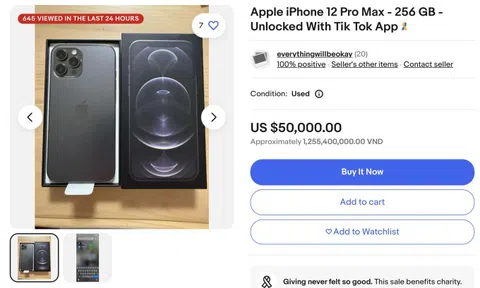 Smartphone cài sẵn TikTok được rao bán 50.000 USD