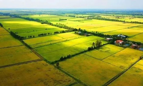 Mức xử phạt đối với hành vi lấn chiếm đất theo quy định mới nhất