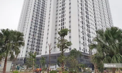 Thu hồi hàng nghìn căn chung cư là tài sản công bị sử dụng sai mục đích