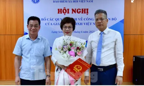 Bảo hiểm xã hội khu vực 5 có nữ giám đốc