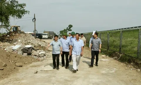 Hải Phòng tạm dừng chuyển đổi mục đích đất sang đất ở trước khi sáp nhập với Hải Dương