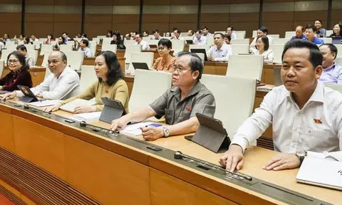 Quyết sách lịch sử: Chính quyền địa phương hai cấp