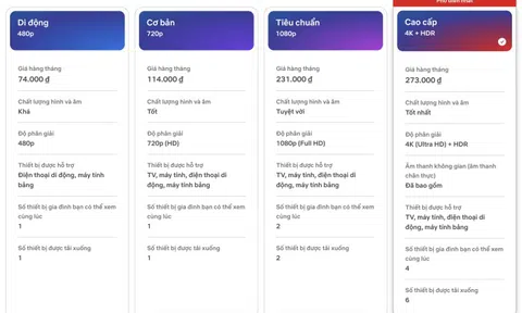 Netflix và một số dịch vụ online tăng giá tại Việt Nam