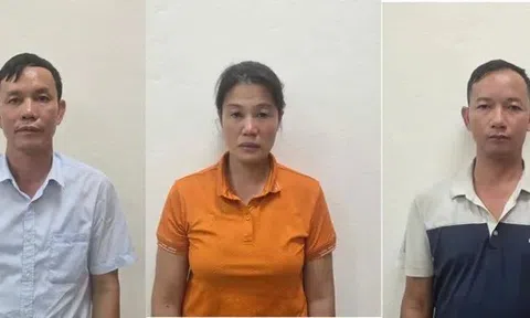 Bắt Giám đốc Công ty Lâm nghiệp Hoành Bồ cùng hai thuộc cấp