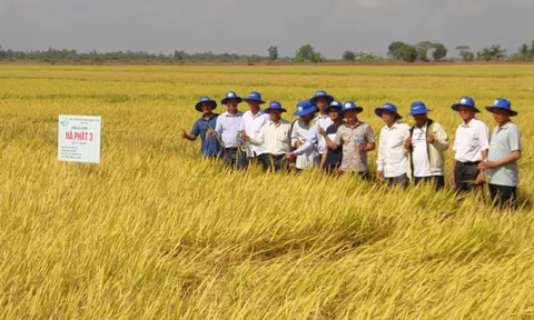 Tây Ninh tăng tốc Tổng điều tra nông thôn, nông nghiệp 2025, quyết cán đích trước 30/7