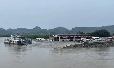 Khuyến khích giảm 50% giá phòng cho du khách mắc kẹt do bão số 5 tại Cát Bà
