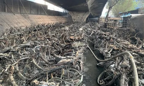 Thủ tướng Chính phủ yêu cầu điều tra nguyên nhân vụ cháy bãi xe dưới gầm cầu Vĩnh Tuy