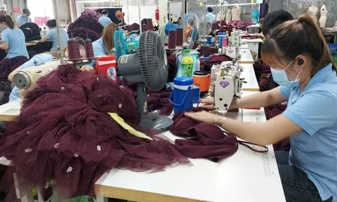Chính sách bảo hiểm thất nghiệp: Cần cân nhắc thấu đáo