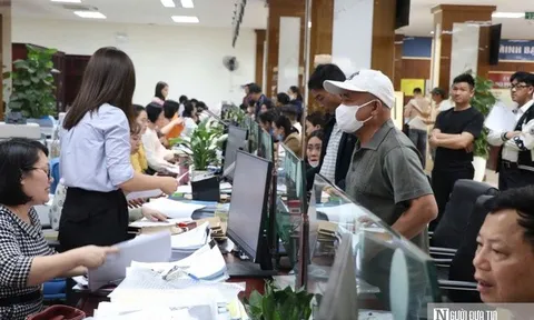 Chính phủ thống nhất thông qua dự án Luật Viên chức (sửa đổi)