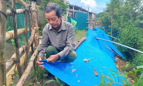 CHUYỆN LẠ: Người dân che bạt... ngăn sạt lở suối