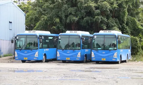 TP HCM nâng cấp giao thông công cộng với 2 tuyến xe mới
