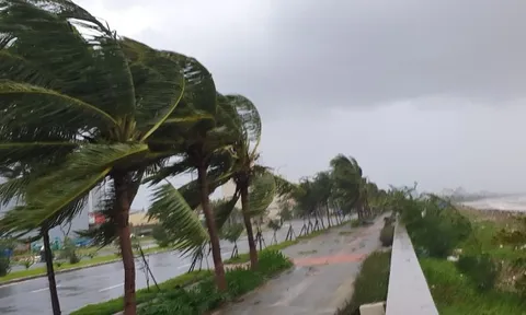 Bão số 10 Bualoi sắp đổ bộ: Ít nhất 4 địa phương cho học sinh nghỉ học ngày mai