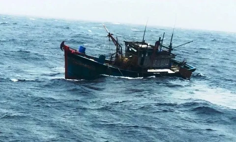 Tìm thấy thi thể chủ tàu cá bị tàu nước ngoài tông chìm trên biển