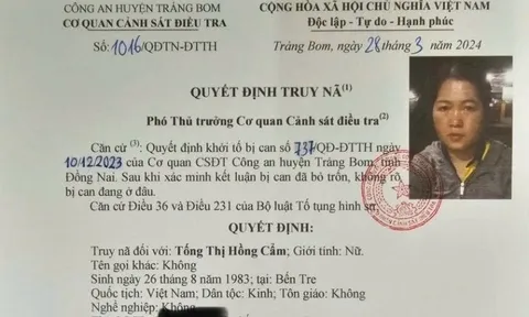 Truy nã Tống Thị Hồng Cẩm
