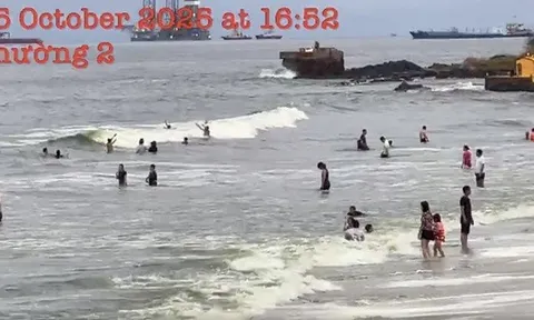Thông tin lan truyền nước biển Vũng Tàu có màu xanh lá cây: Cơ quan chức năng lên tiếng