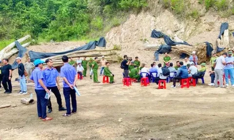 Gia Lai buộc thôi việc 5 cán bộ kiểm lâm đang bị bắt tạm giam