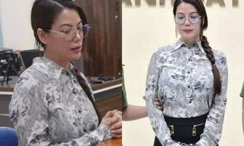 Diễn viên Trương Ngọc Ánh bị bắt vì tội gì?