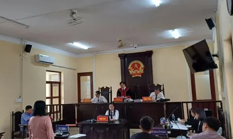 Vụ nữ ‘đại gia’ thủy sản bị cáo buộc hủy hoại tài sản: Nữ đại gia bật khóc nói lời sau cùng