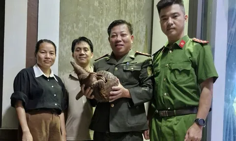 Người dân bắt được con vật quý hiếm, nặng gần 4 kg