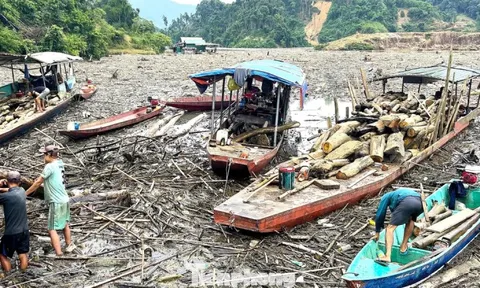 Cận cảnh rác gỗ 'khổng lồ' bủa vây hồ thủy điện lớn thứ 2 tỉnh Nghệ An