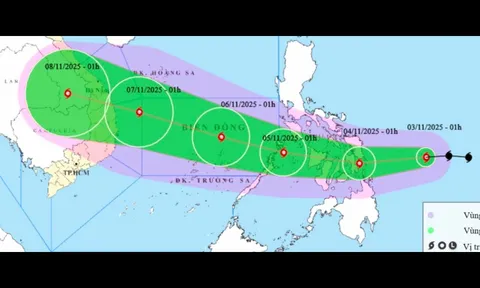 Bão Kalmaegi mạnh cấp 11, giật cấp 14, hướng vào khu vực nào của nước ta?