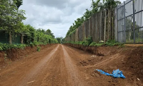 Chuyển hồ sơ công an điều tra vụ đào đường lấy đất "khó hiểu" ở Đắk Lắk