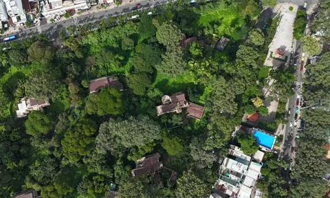 Khu tưởng niệm nạn nhân COVID-19 ở TP HCM: Tạc ký ức giữa lòng thành phố