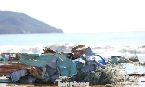 Bãi biển Quy Nhơn ngập rác sau bão số 13