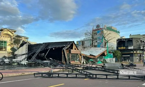 Hỗ trợ khẩn cấp 80 tỷ đồng cho 3 tỉnh Quảng Ngãi, Gia Lai, Đắk Lắk