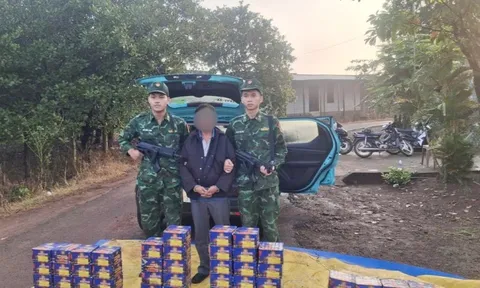 Bắt Trần Hồng Vũ