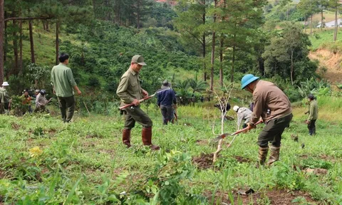 Lâm Đồng thông báo tìm người chiếm đất