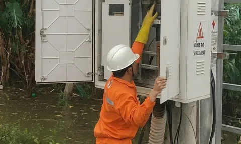 Đã cấp điện trở lại hơn 881.000 khách hàng miền Trung - Tây Nguyên sau ngập lụt