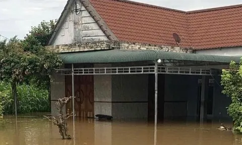 Chi tiết mực nước trên sông Đồng Nai và La Ngà, cảnh báo nguy cơ ngập lụt