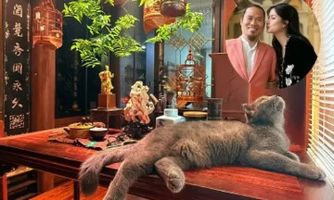 Cận cảnh căn nhà bạc tỷ của nghệ sĩ Vượng Râu và vợ kém 5 tuổi