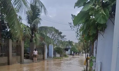 Mưa lớn trong đêm, nhiều khu vực phía Đông Gia Lai ngập trở lại
