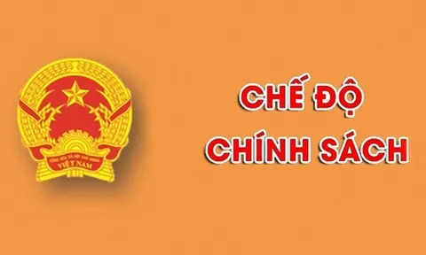 Hướng dẫn xác nhận thời gian đóng BHXH của người lao động khi doanh nghiệp mất khả năng đóng
