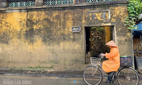 Hình ảnh dấu tích 3 trận lụt trên di sản phố cổ Hội An