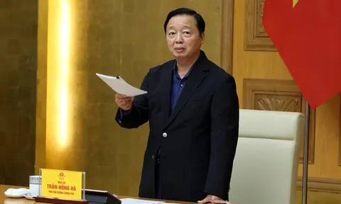 Bão số 15 tồn tại trên biển rất dài, Phó Thủ tướng yêu cầu dự báo, làm rõ tác động