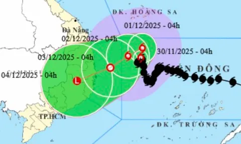Bão số 15 giật cấp 11, "đi bộ" trên Biển Đông