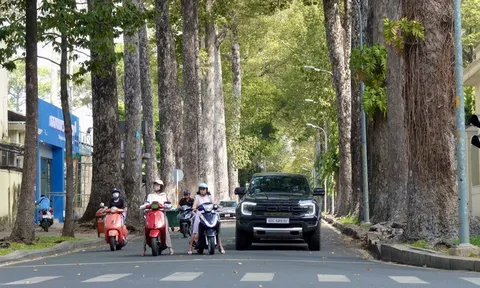 Dự báo thời tiết hôm nay, 1-12: TPHCM và Nam Bộ có nắng với nhiệt độ cao