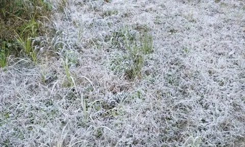 Băng giá phủ trắng đỉnh núi khi nền nhiệt giảm dưới 0°C