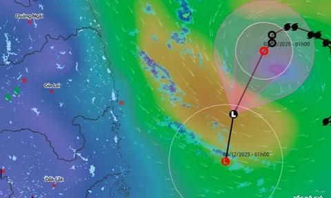 Áp thấp nhiệt đới vẫn "luẩn quẩn" trên Biển Đông, miền Trung bắt đầu đợt mưa lớn