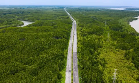 Cần Giờ đi Vũng Tàu chỉ 10 phút