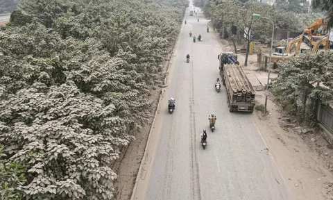 'Bão bụi' bao phủ đường cửa ngõ Hà Nội, cây cối chuyển màu trắng xóa